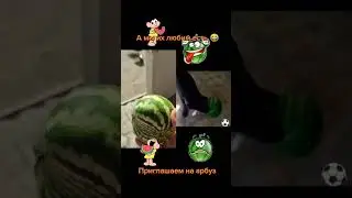 Для маленькой собачки маленький арбуз 😂😃🤩. В конце доказано, что он настоящий ✌️🤩