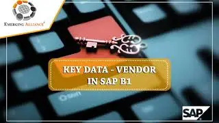 KEY DATA – VENDOR IN SAP B1