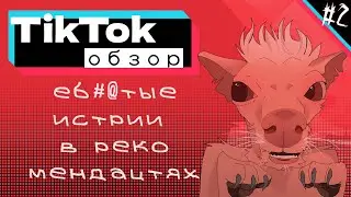 РЕКОМЕНДАЦИИ ТИКТОКА УБИВАЮТ / TikTok обзор /