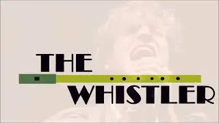 Candy (Paolo Nutini) - Tin Whistle Cover