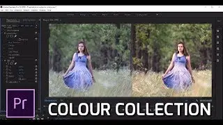 COLOR COLLECTION IN PREMIERE PRO TUTORIAL