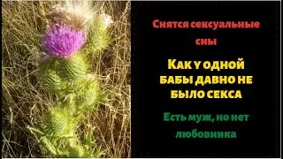 Супружеский долг, как у одной бабы давно не было секса!