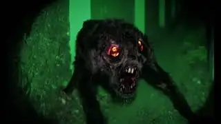 Skinwalker/Live footage of CREATURE