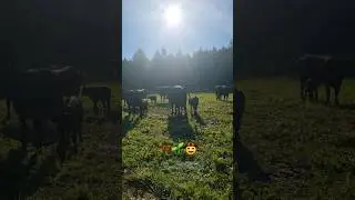 Застал за завтраком😉🤠