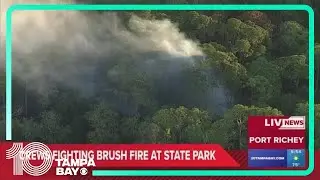 Here's what we know about the brush fire burning near townhomes in Port Richey