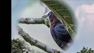 AZUL INFINITO