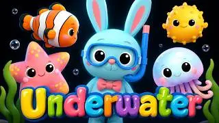 Calm Bunny Underwater | High Contrast Sensory Video for Babies & Toddlers 🐠