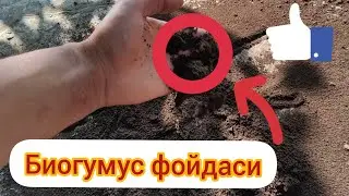 биогумус фойдаси супер натижа  / biogumus foydasi super natija
