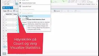 Visualize Statistics for Pikselverdier i et Diskret Raster
