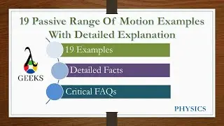 19 Passive Range Of Motion Examples With Detailed Explanation