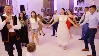 Nelu Bitina - Cel mai TARE Colaj de petrecere - LIVE 2024