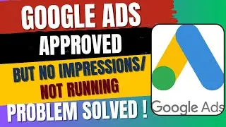 Google ads approved but no impressions/not running problem solved