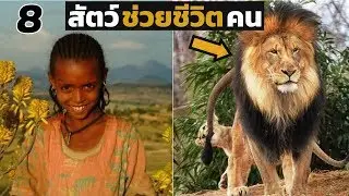 8 เรื่องจริง!! สัตว์ช่วยชีวิตคนให้พ้นจากเหตุการณ์คับขัน