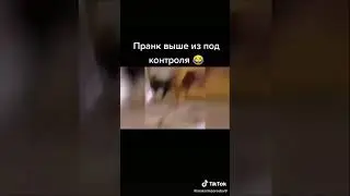 Решил напугать друга