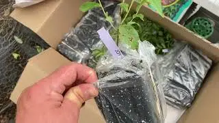 Hartmanns Plant Company Review Update