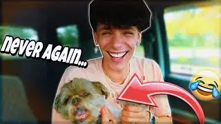 NEVER DOING THIS AGAIN! (IM BACK!)