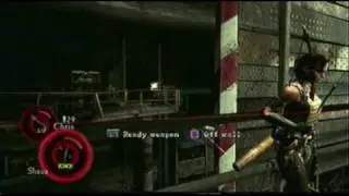 Resident Evil 5 (Co-Op Online) -Professional Mode PS3- Chpt 5-3 Pt. A