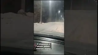 19 декабря 2023 г.