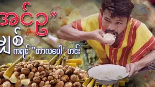 တောသဘဝအစားအစာ “အင်ဥ + မျှစ် ကရင်တာလပေါ့ဟင်း ဒီနှစ်တွင်း ပထမဆုံး စားရတယ်😋😋😋