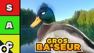 QUEL ANIMAL A LE PLUS GROS ____🔞(Tier List Animaux)