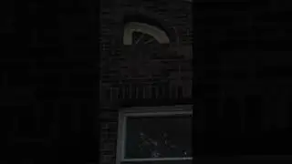 Bats!