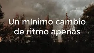 Jorge Drexler - La trama y el desenlace (LETRA)