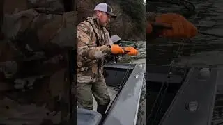 WHY I LOVE WINTER STEELHEAD FISHING ❤️ 🎣 