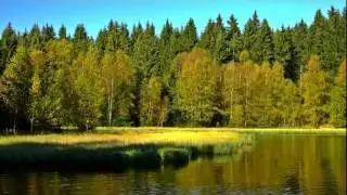 Herbstimpressionen am Vogtlandsee