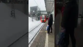 Поездатый мцк