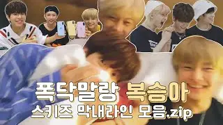 [스트레이키즈] 수요있는 조합 복승아🍑(용복, 승민, 아이엔) 모음.zip