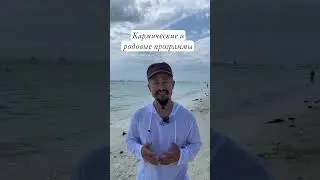 Кармические и родовые программы #гуйшэнь #павелким
