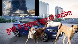 कुत्ते ने Gaddi पर SCRATCH maar diye .. #cars #scratch #solution #tatatigorcng