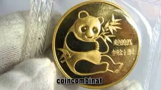 Panda Gold China 1982 RARE COIN