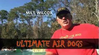 ULTIMATE AIR DOGS