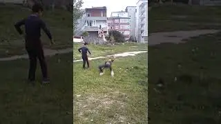 Hipapçılar yine devam ömer Kadagan emrullah