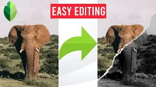 Snapseed Creative Image Editing |  Easy Snapseed Editing