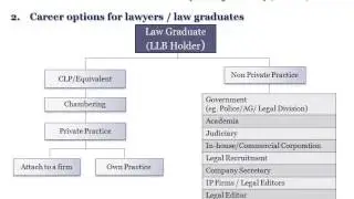 The Career Options for Lawyers and Law Graduates