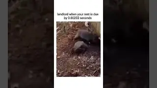 rent was due 