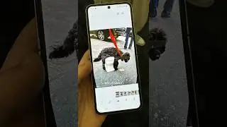I TRIED THE GALAXY FOLD 6 and FLIP 6 AND THE NEW GALAXY AI! 😂