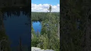 Тайга.