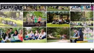 Delete Sections - Education WordPress Theme