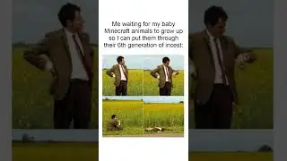 Minecraft Memes 13 