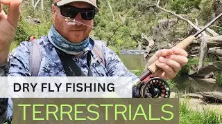 TERRESTRIAL Fishing + Dry Droppers. (Beetles, Ants, Termites Stimulators Caddis, PT Nymphs)