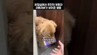 "왜 자꾸 불러?.." 견주가 화장실에서 댕댕이를 부른 까닭