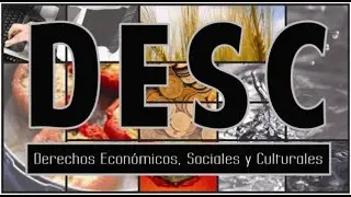 187 - Clase 9 - Derechos económicos, sociales y culturales - 2° parte