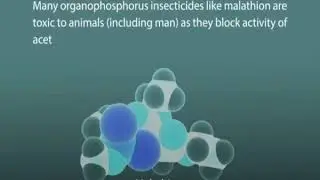 Enzymes Inhibition