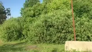 Лето2018♥️
