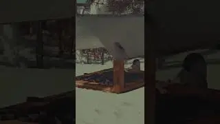 ❄🤍 