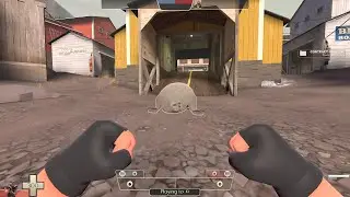 THE TF2 SEAL EXPERIENCE (REAL)