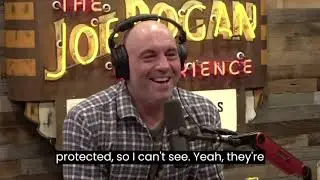 Joe Rogan TRASHES The WOKE for Pronouns